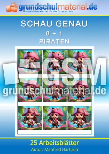 Piraten.pdf
